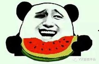 吃瓜群众小胖鱼  第2张