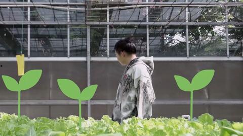 吃瓜视频激发灵感,吃瓜群众视角下的娱乐圈风云录