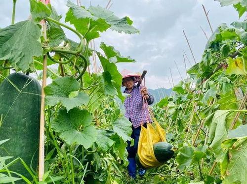 在线劲爆吃瓜,揭秘娱乐圈最新热点事件