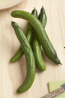 胃炎可以吃伏瓜么,胃炎患者适宜食用伏瓜的探讨  第2张