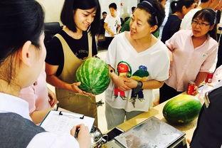 吃瓜群众6677,网络红人的崛起之路  第3张