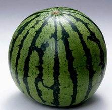 正在吃瓜的图片,揭秘网红吃瓜瞬间  第3张