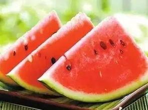 药食院吃瓜,揭秘校园美食背后的故事  第2张