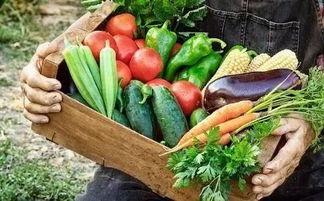 药食院吃瓜,揭秘校园美食背后的故事  第3张