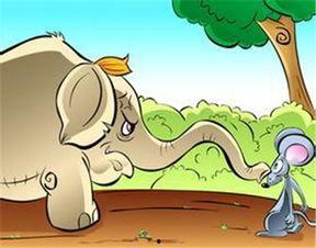 怎么保护瓜不让老鼠吃,守护丰收的秘密武器