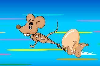 怎么保护瓜不让老鼠吃,守护丰收的秘密武器  第2张