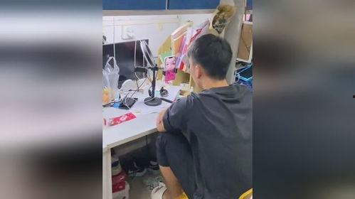 宿舍吃瓜的视频  第2张