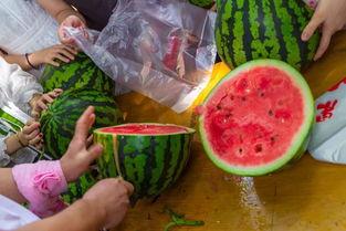 宿舍吃瓜的视频  第3张