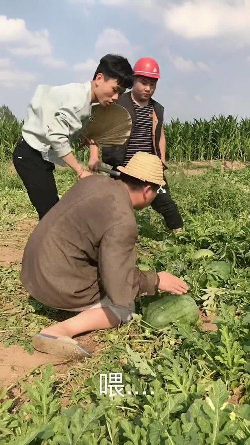 大哥吃瓜图文,揭秘娱乐圈幕后真相  第3张